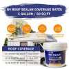 RV Roof Coating Dyvio 1 Gallon Elastomeric Waterproof Sealant Kit-6